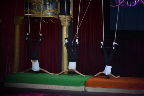 2B25340E-D7D8-408C-B142-A3D71DB55CF8