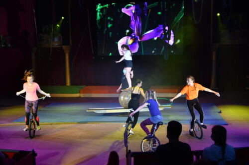 8A6CBA31-6F13-4090-BA1D-94B44E757DFE