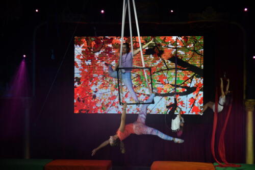 8E07F0F2-57B6-4984-8094-0344E19ADC83