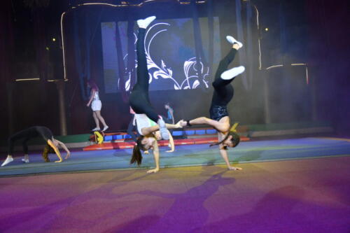 BD9C8958-1816-4749-B378-DDD209198CE9