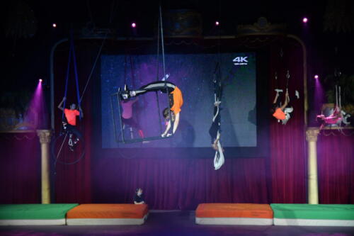 C2436974-D7DC-48B5-9C11-7BFEEB497DC5