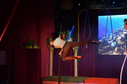 D124A558-3C4A-43E1-B872-1C8FA9A0236F